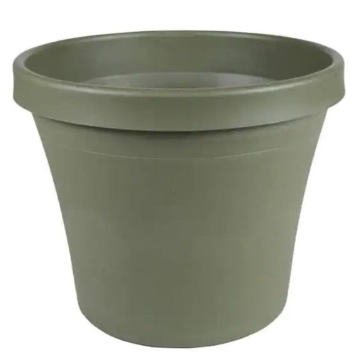 Terra 6 in. Living Green Plastic Planter - Garden Centre - Nursery