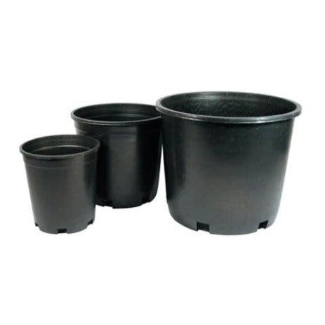 Nursery Pot - Garden Centre - Nursery