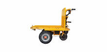Load image into Gallery viewer, Electric Mover- NM100E - Garden Centre - Nursery